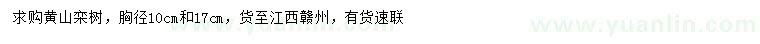 求购胸径10、17公分黄山栾