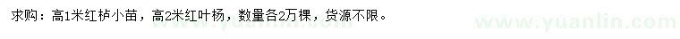 求购高1米红栌、2米红叶杨