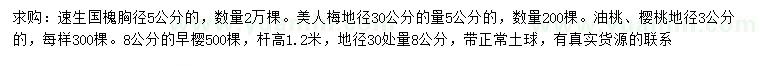 求购速生国槐、美人梅、油桃等