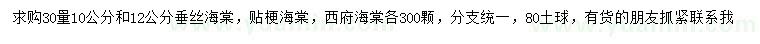 求购30量10、12公分垂丝海棠、贴梗海棠