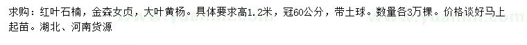 求购红叶石楠、金森女贞、大叶黄杨