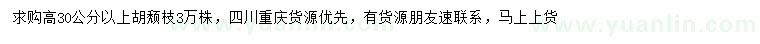 求购高30公分以上胡颓枝