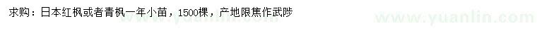 求购一年日本红枫、青枫小苗