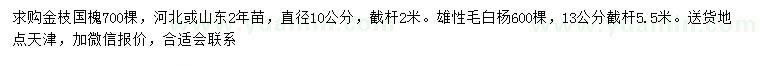 求购10公分金枝国槐、13公分毛白杨