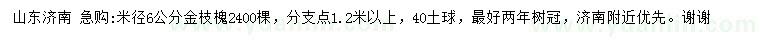 求购米径6公分金枝槐