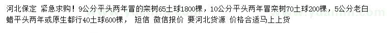 求购9、10公分栾树、5公分老白蜡