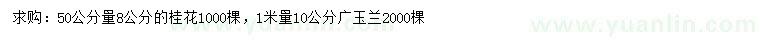 求购50公分量8公分桂花、1米量10公分广玉兰