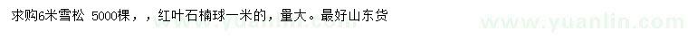 求购6米雪松、1米红叶石楠球