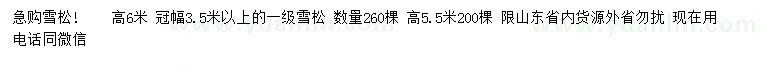 求购高5.5、6米雪松