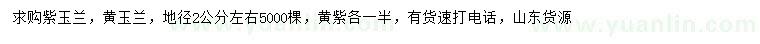 求购地径2公分左右紫玉兰、黄玉兰