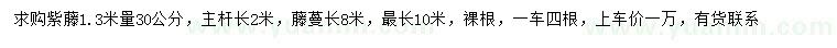 求购1.3米量30公分紫藤