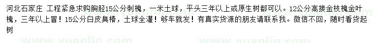 求购刺槐、高接金枝槐、金叶槐等