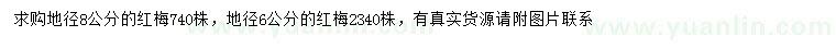 求购地径6、8公分红梅