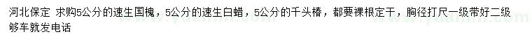 求购速生国槐、速生白蜡、千头椿