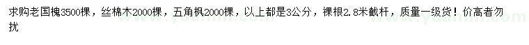 求购老国槐、丝棉木、五角枫