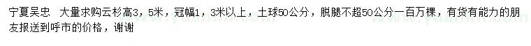 求购高3.5米云杉