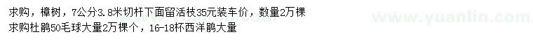 求购7公分樟树、50公分杜鹃毛球