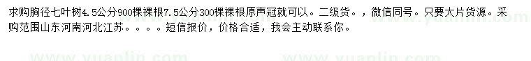 求购胸径4.5、7.5公分七叶树