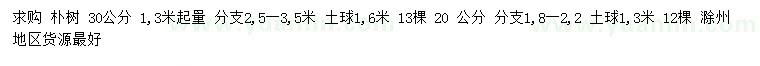 求购1.3米量20、30公分朴树