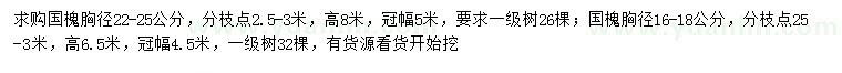 求购胸径22-25公分国槐、16-18公分国槐