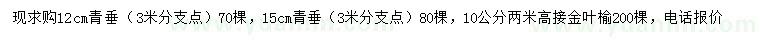 求购12、15公分青垂、10公分高接金叶榆