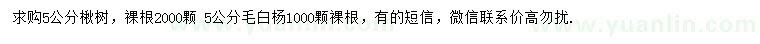 求购5公分楸树、毛白杨