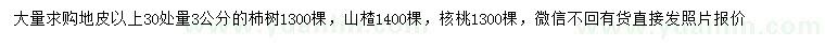 求购柿树、山楂、核桃