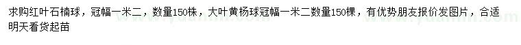 求购冠幅1.2米红叶石楠球、大叶黄杨球