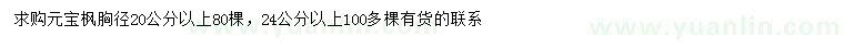 求购胸径20、24公分以上元宝枫