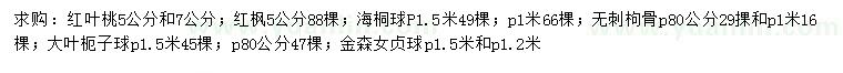 求购红叶桃、红枫、海桐球等