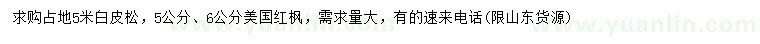 求购5米白皮松、5、6公分美国红枫