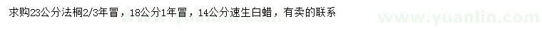 求购18、23公分法桐、14公分速生白蜡