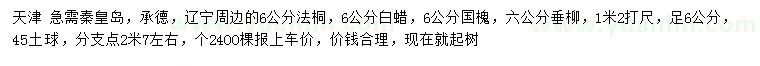 求购法桐、白蜡、国槐等