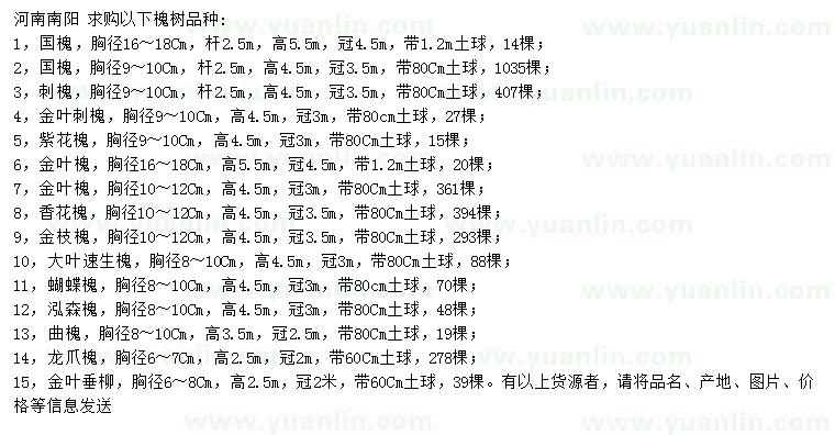 求购国槐、刺槐、金叶刺槐等