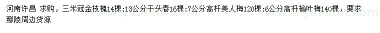 求购金枝槐、千头椿、高杆美人梅等