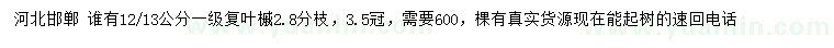 求购12、13公分复叶槭