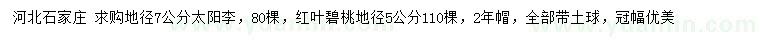 求购地径7公分太阳李、5公分红叶碧桃