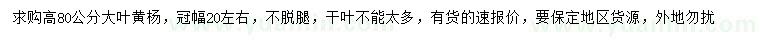 求购高80公分大叶黄杨