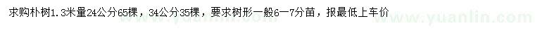 求购1.3米量24、34公分朴树