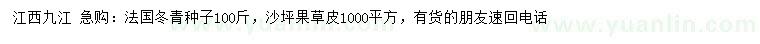 求购法国冬青种子、沙坪果草皮