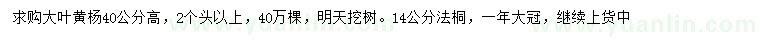 求购高40公分大叶黄杨、14公分法桐