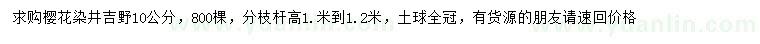 求购10公分染井吉野