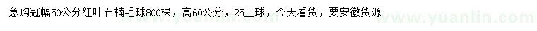 求购冠幅50公分红叶石楠毛球