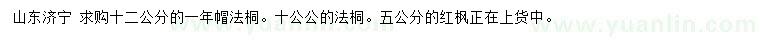 求购10、12公分法桐、5公分红枫