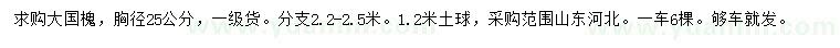 求购胸径25公分国槐