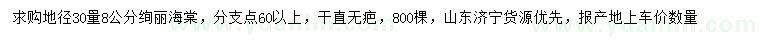 求购地径30量8公分绚丽海棠