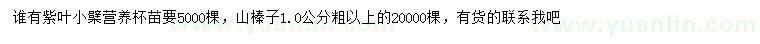 求购紫叶小檗、1公分以上山榛子