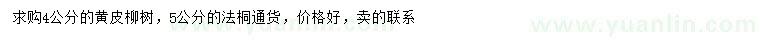 求购4公分黄皮柳树、5公分法桐