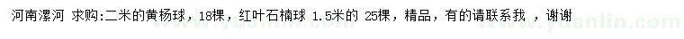 求购2米黄杨球、1.5米红叶石楠球