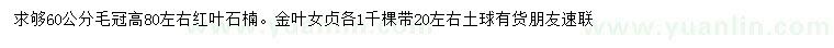 求购高80公分左右红叶石楠、金叶女贞